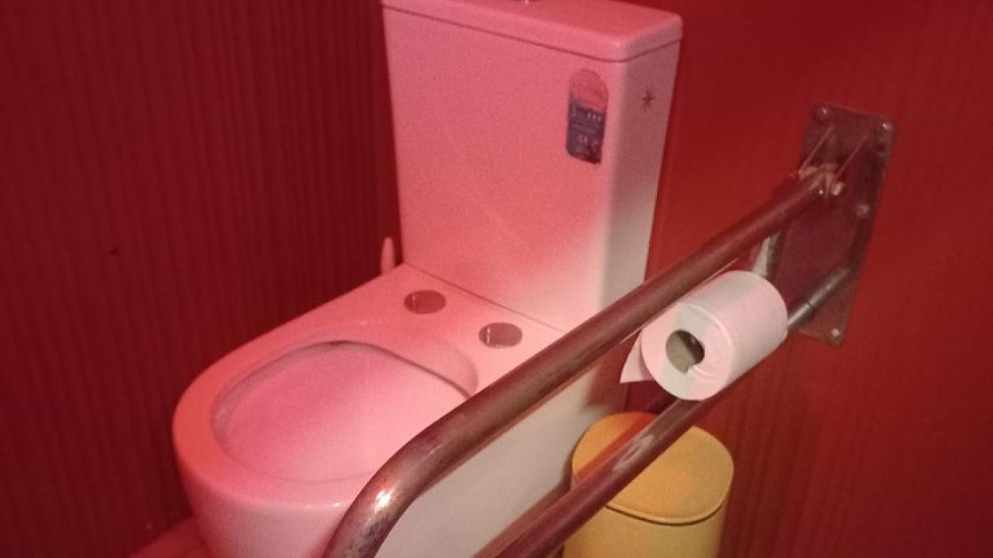 Disponibilidad de baño adaptado con barras abatibles en inodoro.
