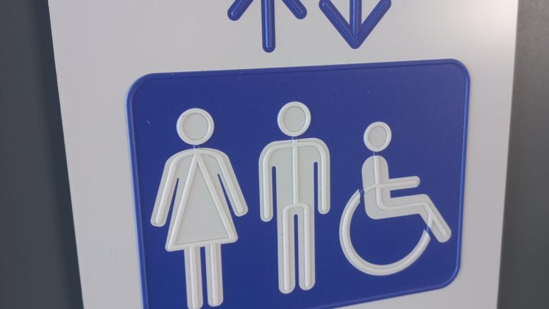 Sign for elevator location with pictogram, high-relief, and braille composition.
