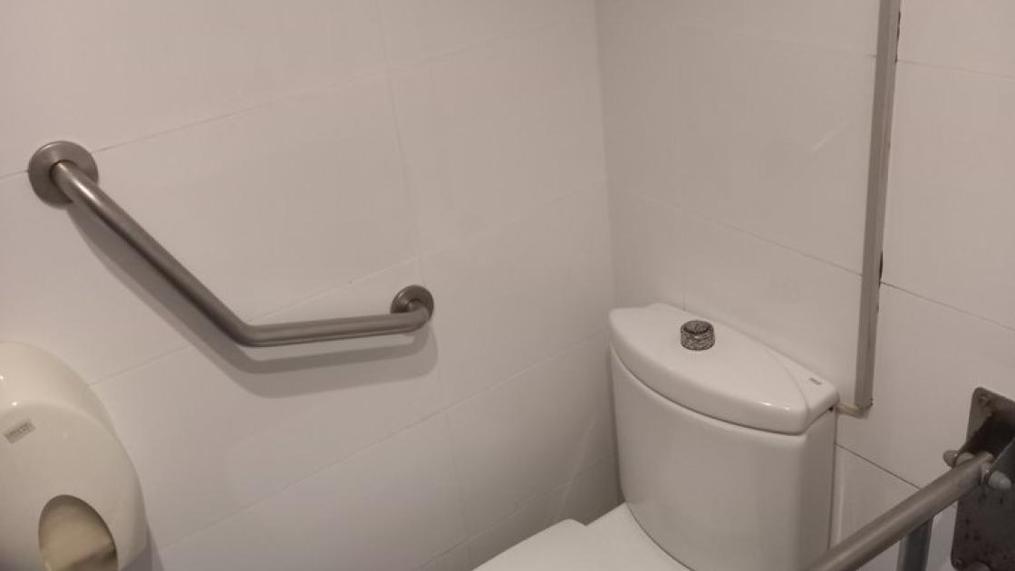 Baño adaptado equipado de barras abatibles.