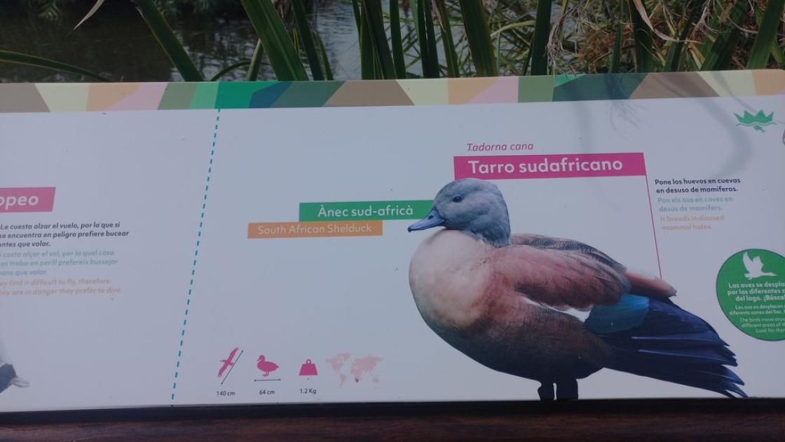 Explanatory signs using image composition, pictograms, and text.