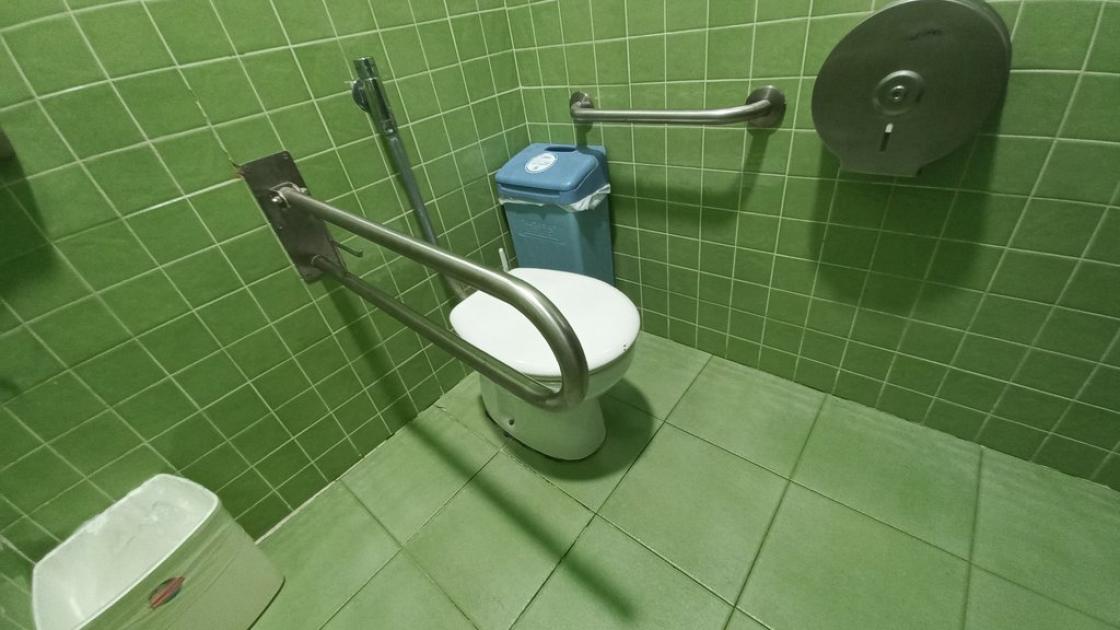 Disponibilitat de barres abatibles en mòdul de bany adaptat i zona de maniobra i transferència lliure d'obstacles.