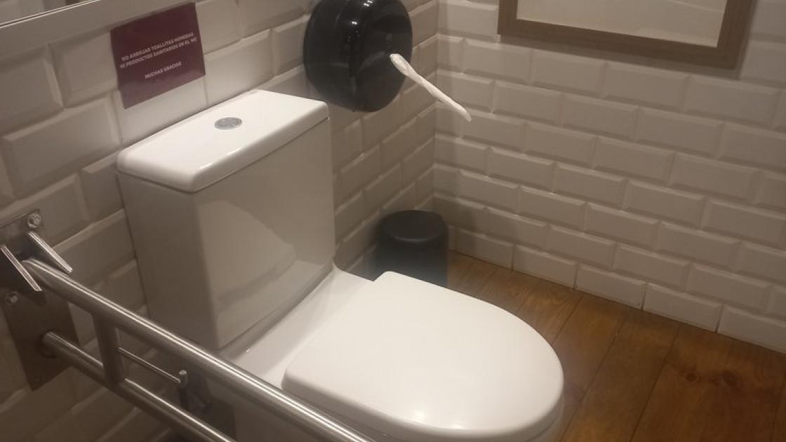 Adapted bathroom equipped with folding bars on the toilet.