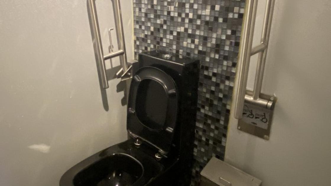 Accessible WC with support bars in common adapted bathrooms.