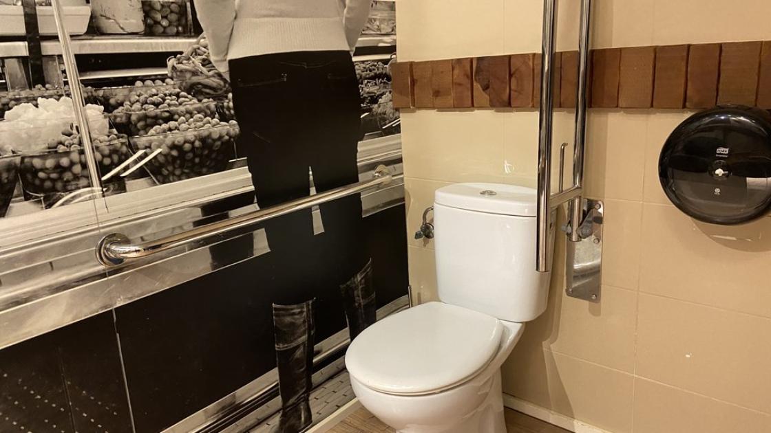 Accessible WC with support bars in common adapted bathrooms.