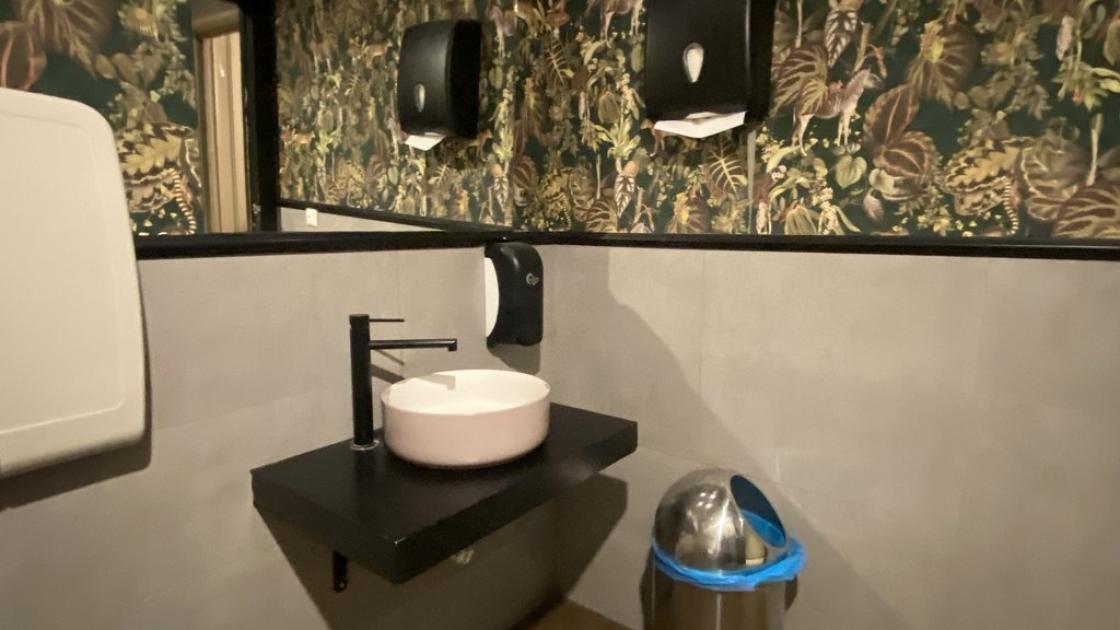 Lavabo accessible amb alçada adequada en banys adaptats comuns.
