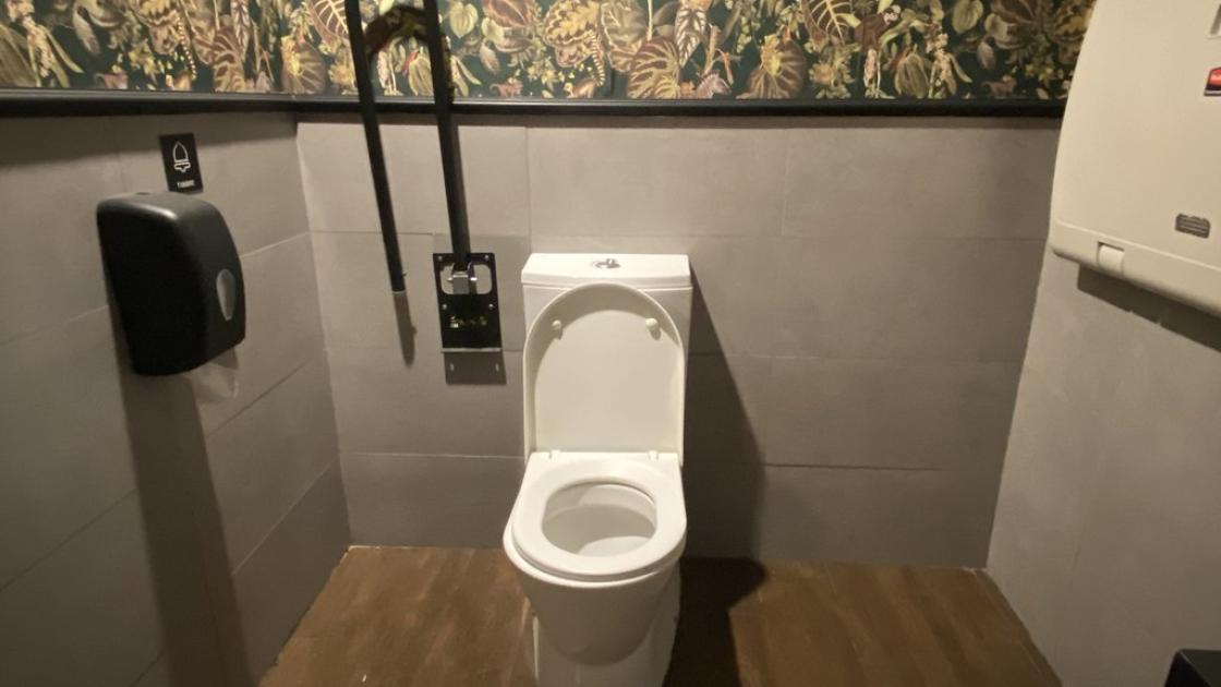 WC accessible amb barra de suport en banys adaptats comuns.
