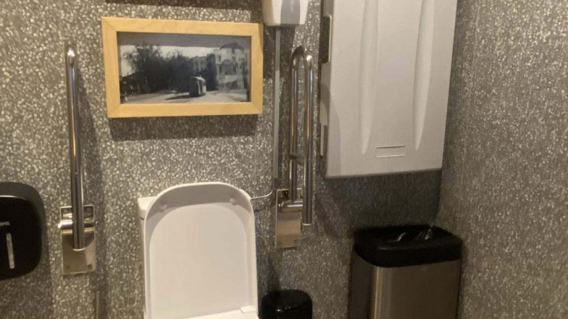 WC accessible amb barres de suport i canviador per a nadons en banys adaptats comuns.