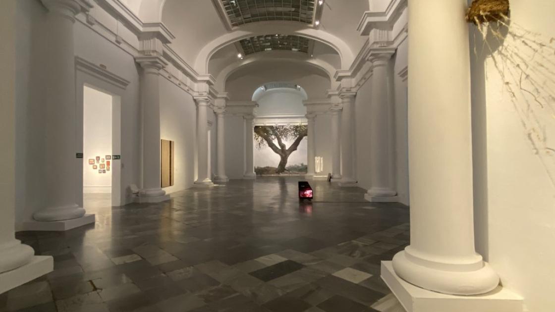 Salas expositivas accesibles con suficiente espacio para deambular a lo largo de las salas y una correcta iluminación.