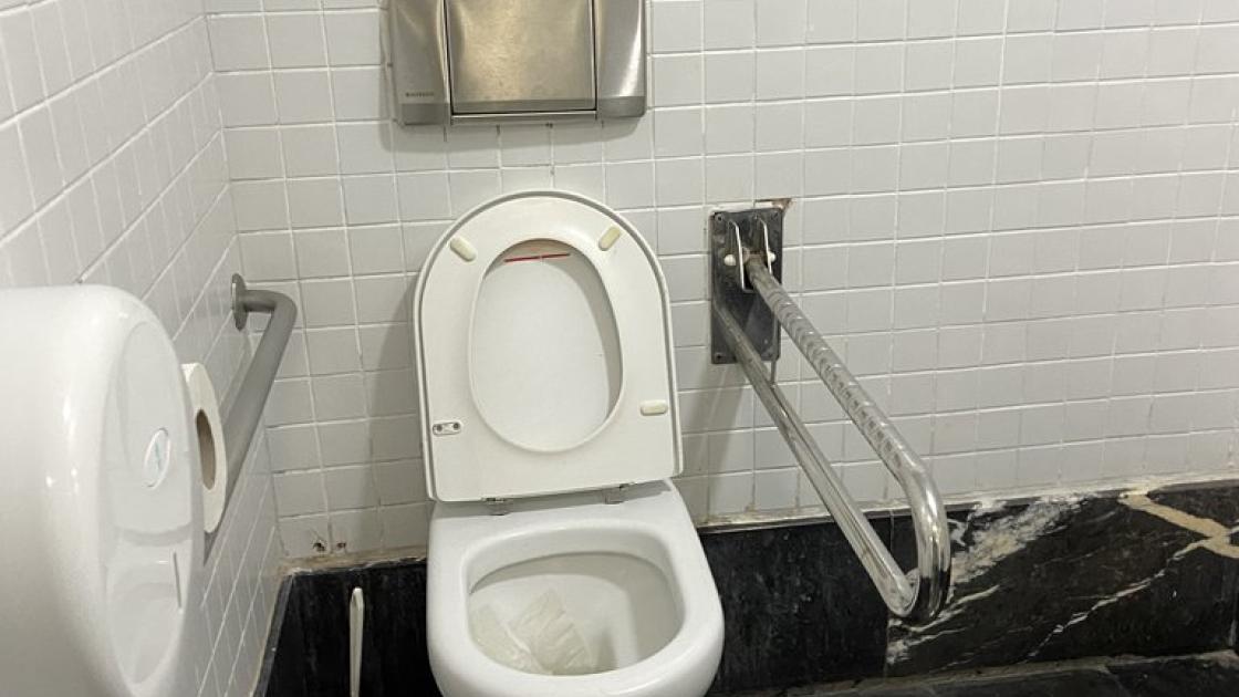 Accessible WC with support bars in common adapted bathrooms of the Mercado de Colón.