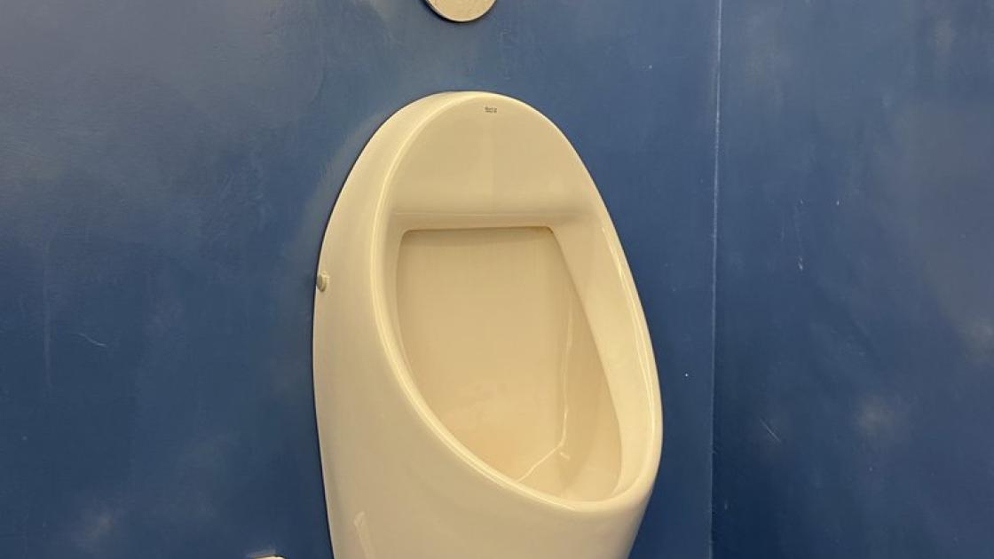 Urinario dispuesto a una altura adecuada para usuarios con distintas necesidades.