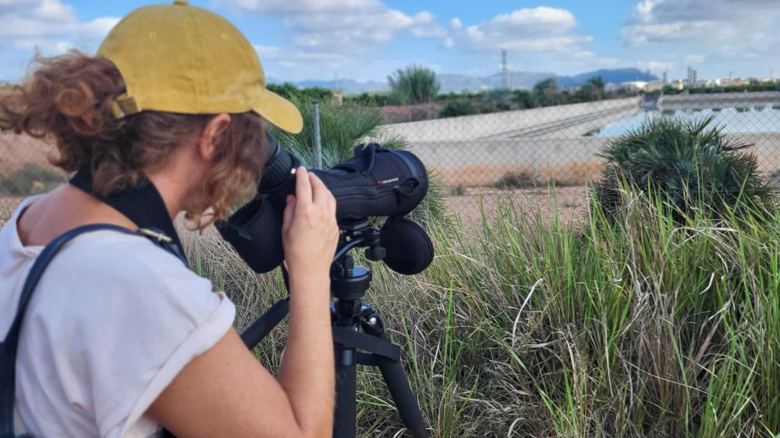 Asociación de Guías de Birding de la Comunitat Valenciana