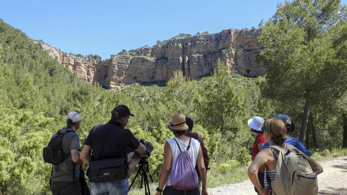 Asociación de Guías de Birding de la Comunitat Valenciana