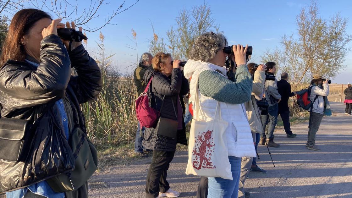Asociación de Guías de Birding de la Comunitat Valenciana