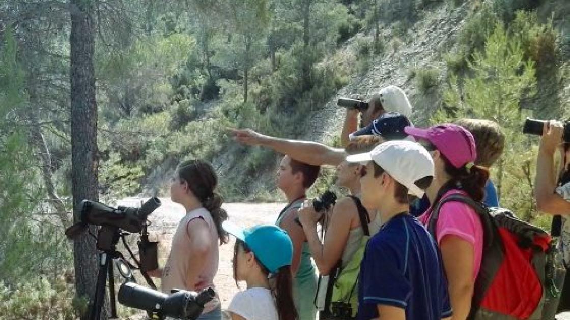 Asociación de Guías de Birding de la Comunitat Valenciana