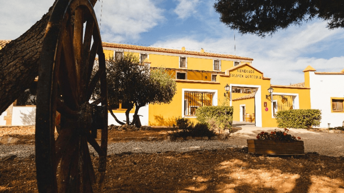 Bodegas Nodus