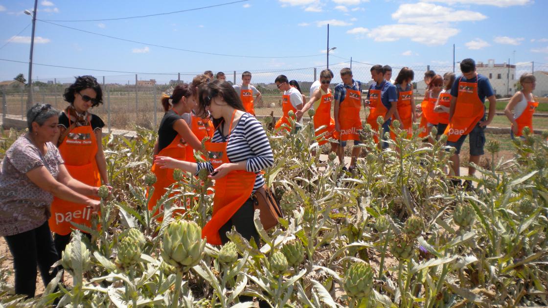 grupo durante la visita guiada descubre l'horta