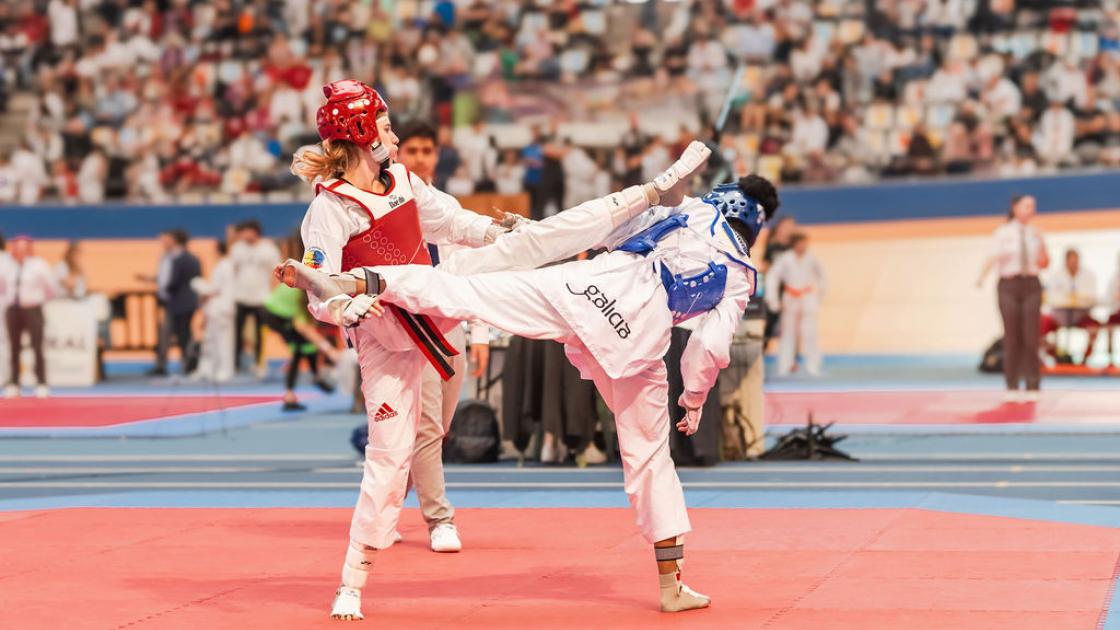 Federación de Taekwondo de la Comunidad Valenciana