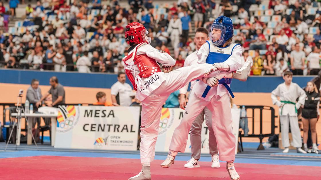 Federación de Taekwondo de la Comunidad Valenciana