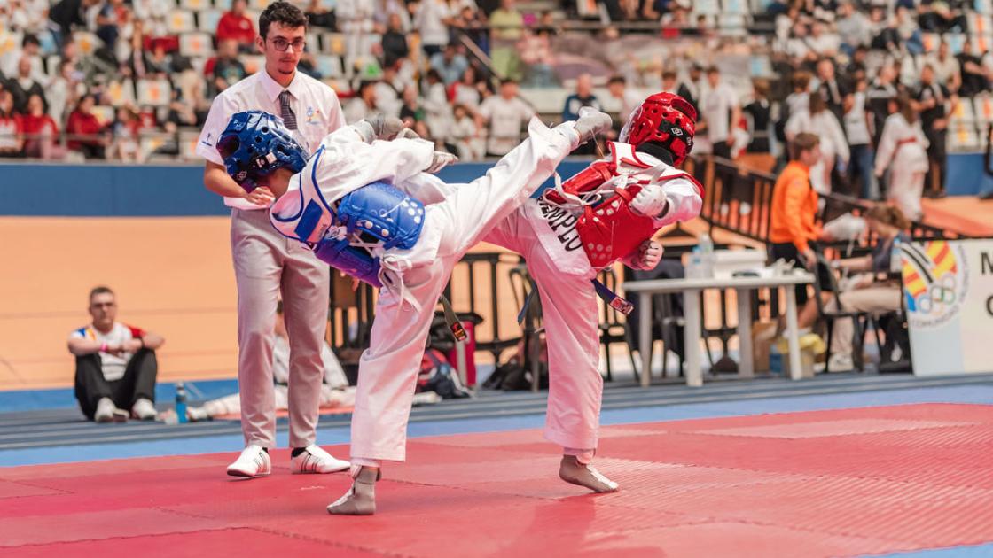 Federación de Taekwondo de la Comunidad Valenciana