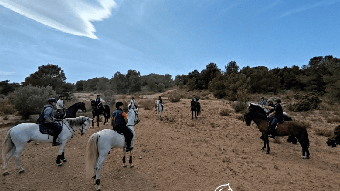 Field and Horse