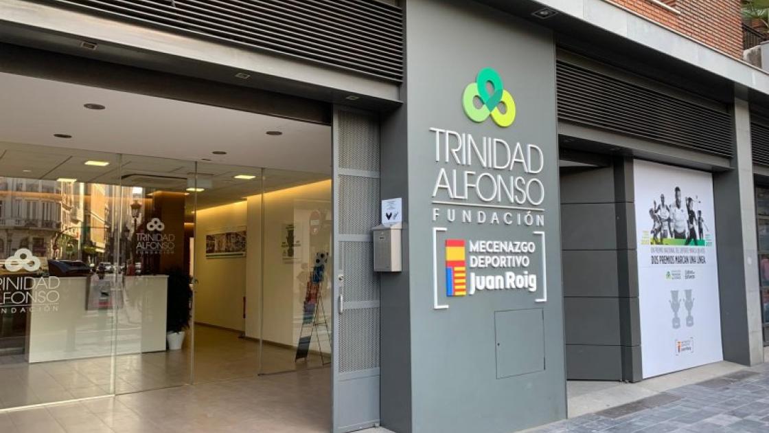 fundación trinidad alonso