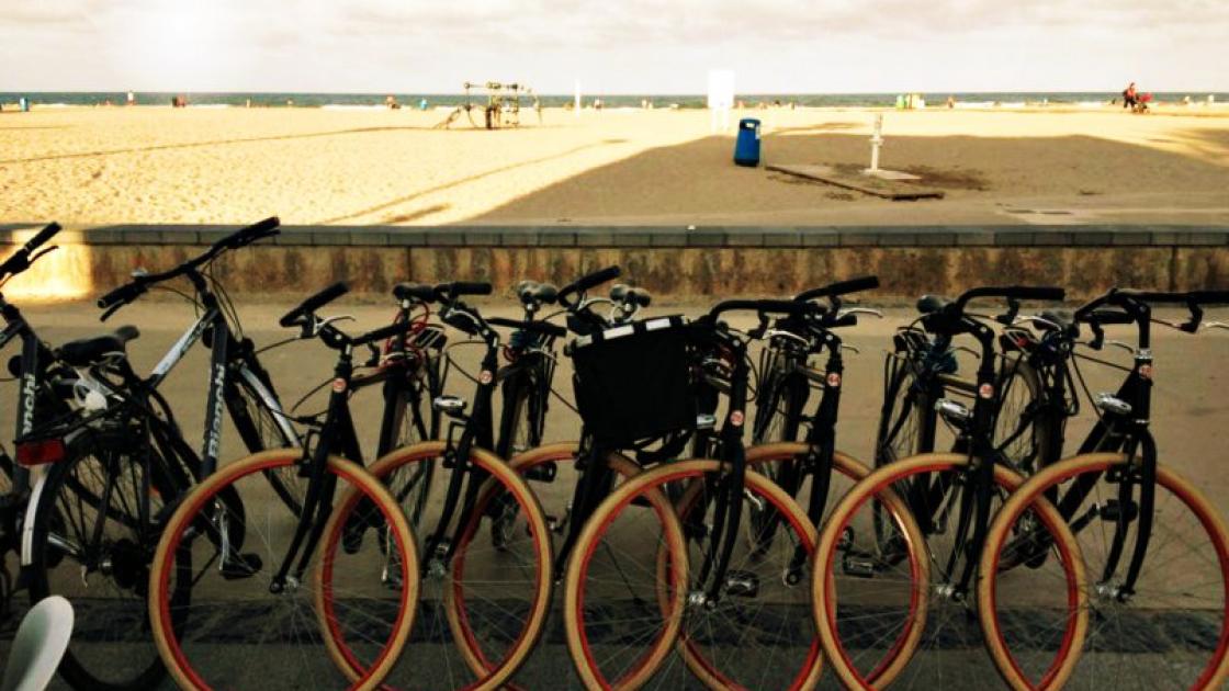 bicicletas passion bike