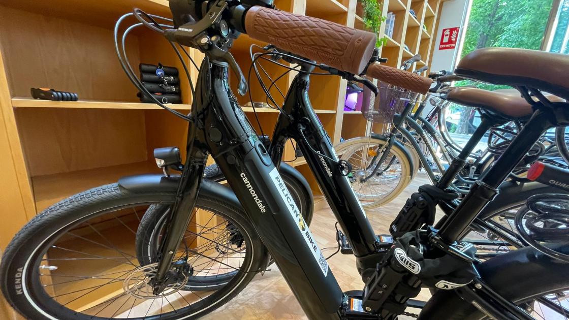Pelican Bike Rentals