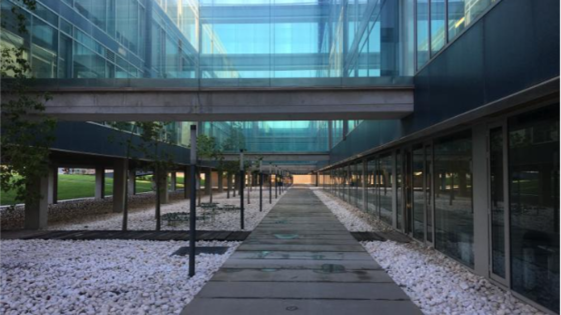 Universidad Politécnica de Valencia
