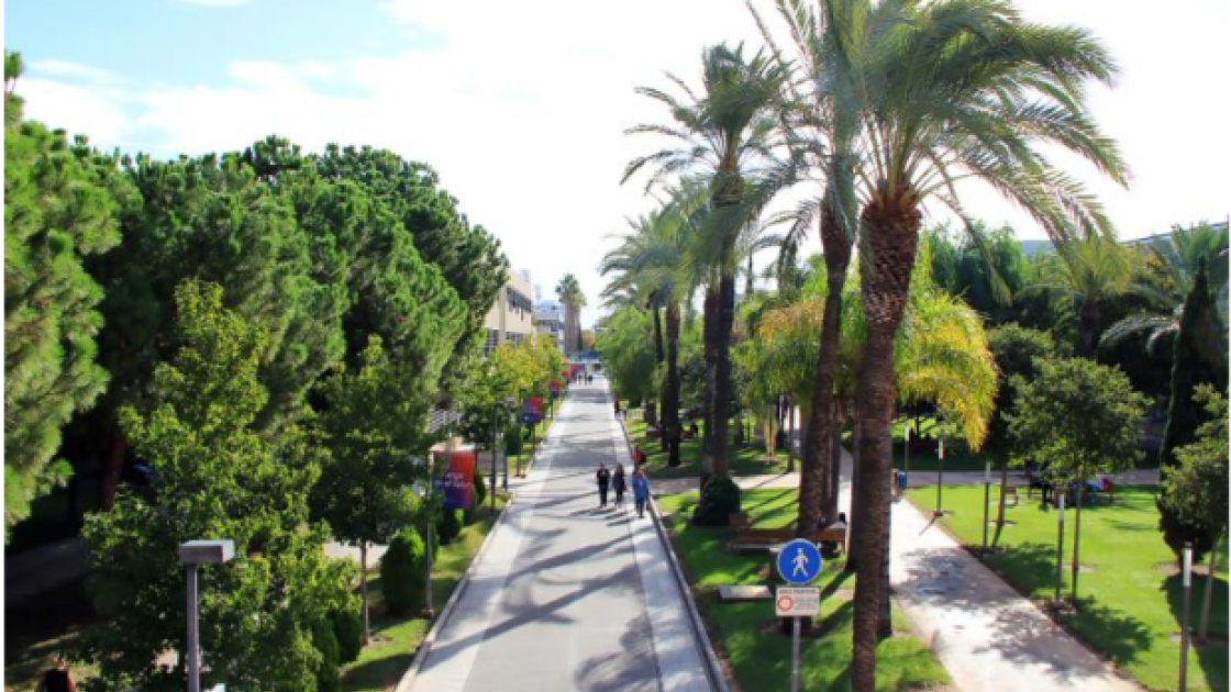 Universidad Politécnica de Valencia