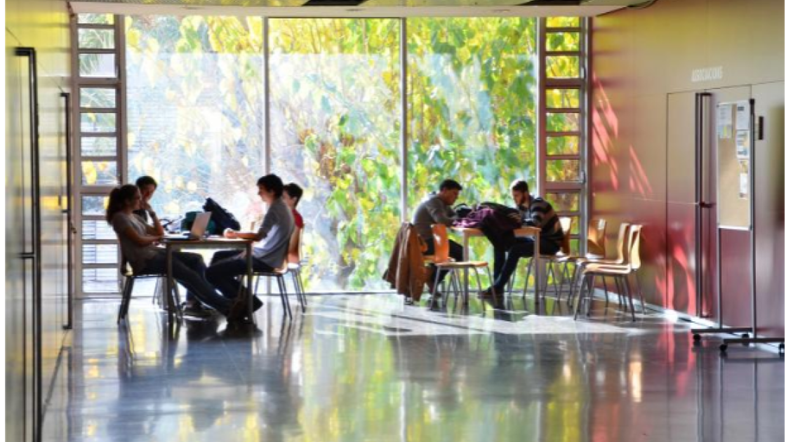 Universidad Politécnica de Valencia