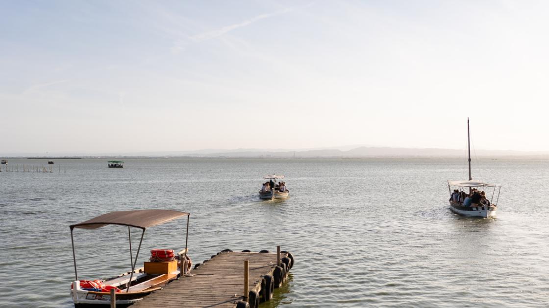 Visitalbufera
