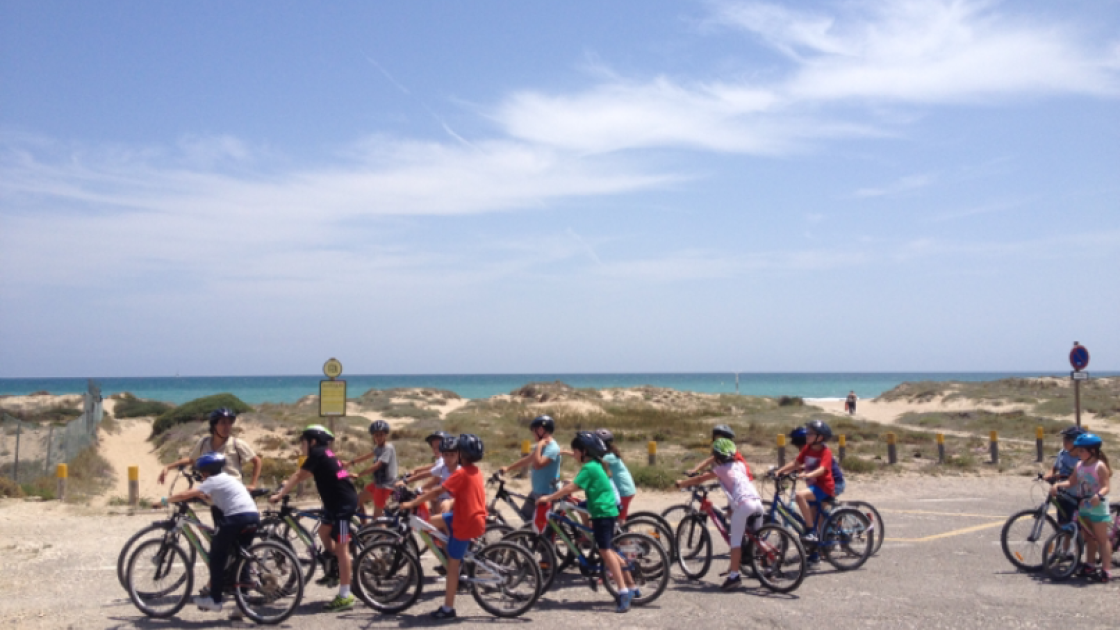 grupo visita guiada en bicicleta