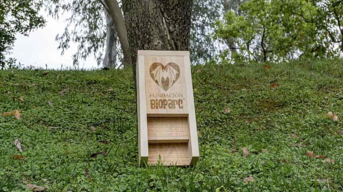 «Bat Night»: la noche de los murciélagos en BIOPARC València