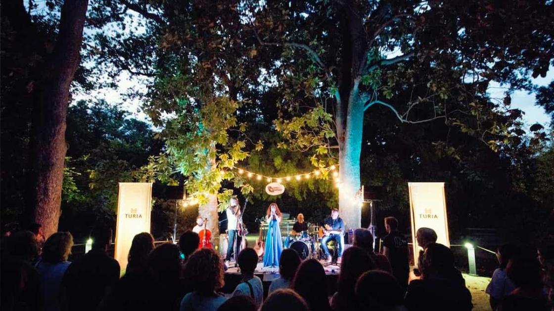Ciclo Sons al Botànic en València 