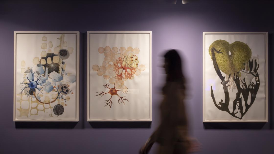 Exposición Melanie Smith IVAM
