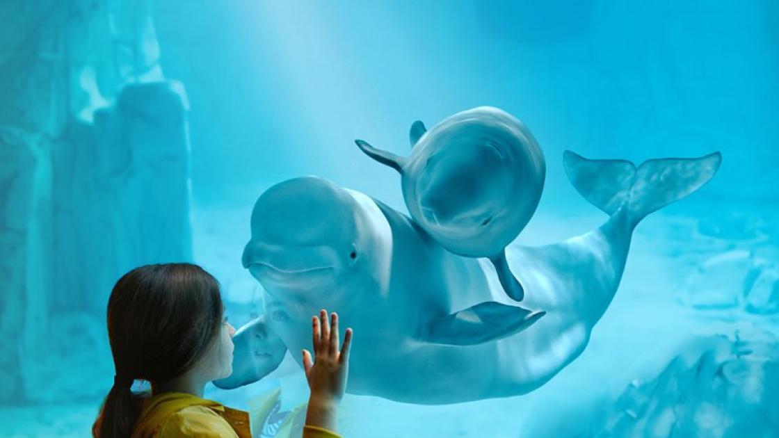 Oceanografic Valéncia