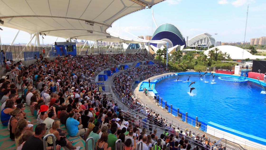 Oceanografic delfines CAC