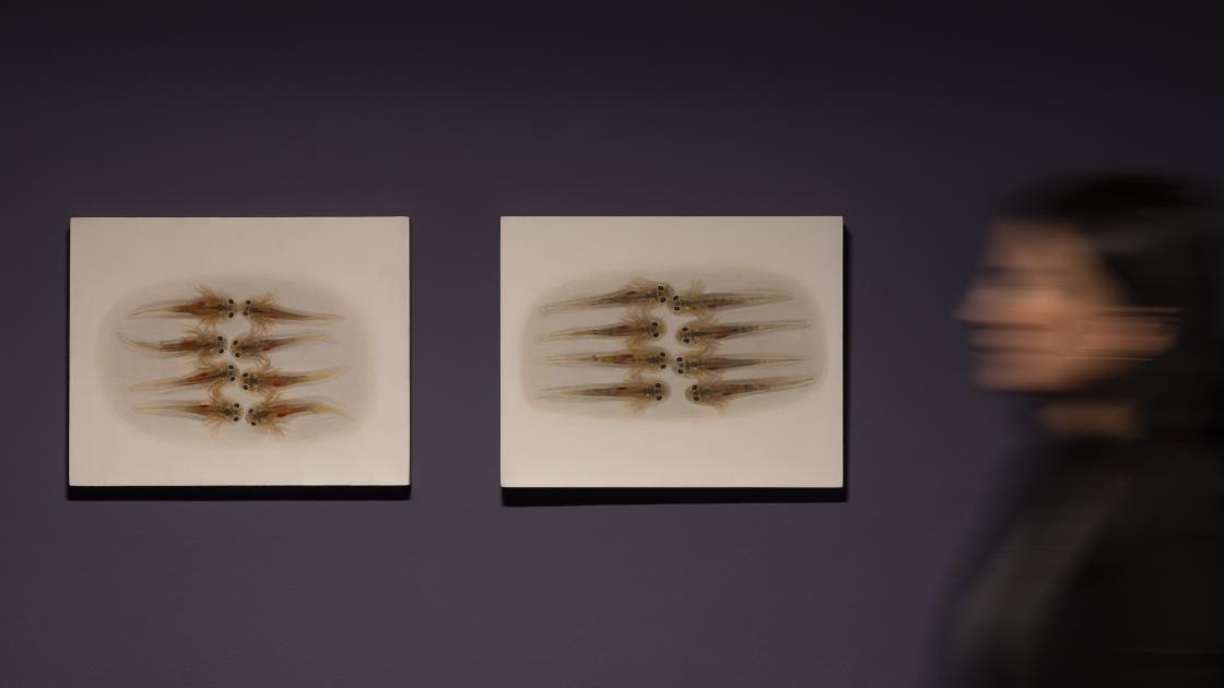 Exposición Melanie Smith IVAM