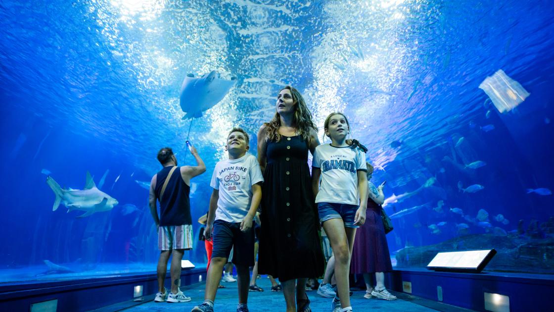 Oceanogràfic con niños