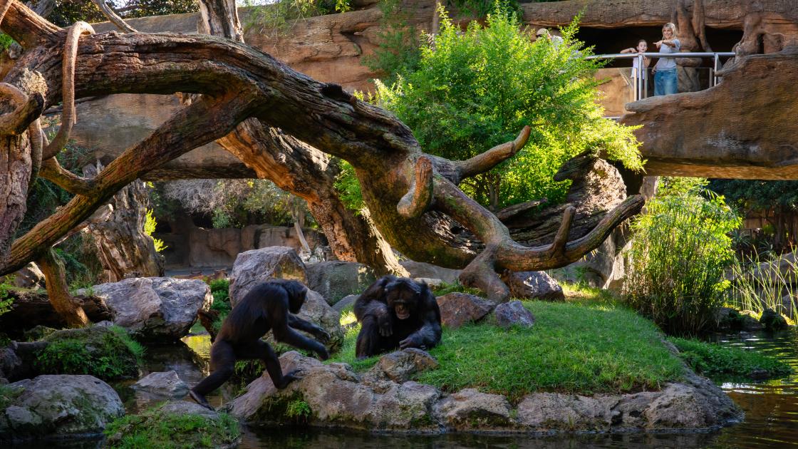 Bioparc con niños