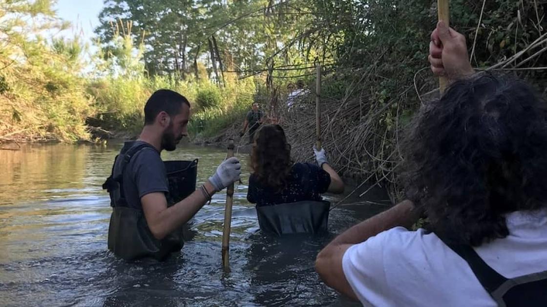Voluntariado para la conservación de tortugas en València