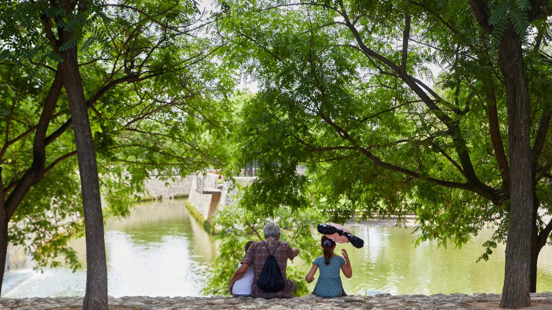 Parque de Cabecera Valencia