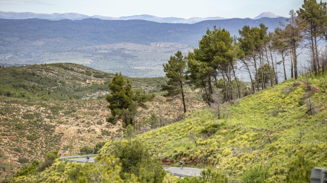 Ciclismo Carretera Valencia