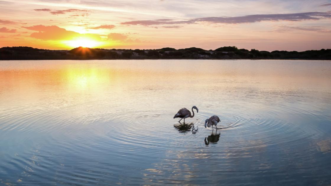 Albufera Valencia