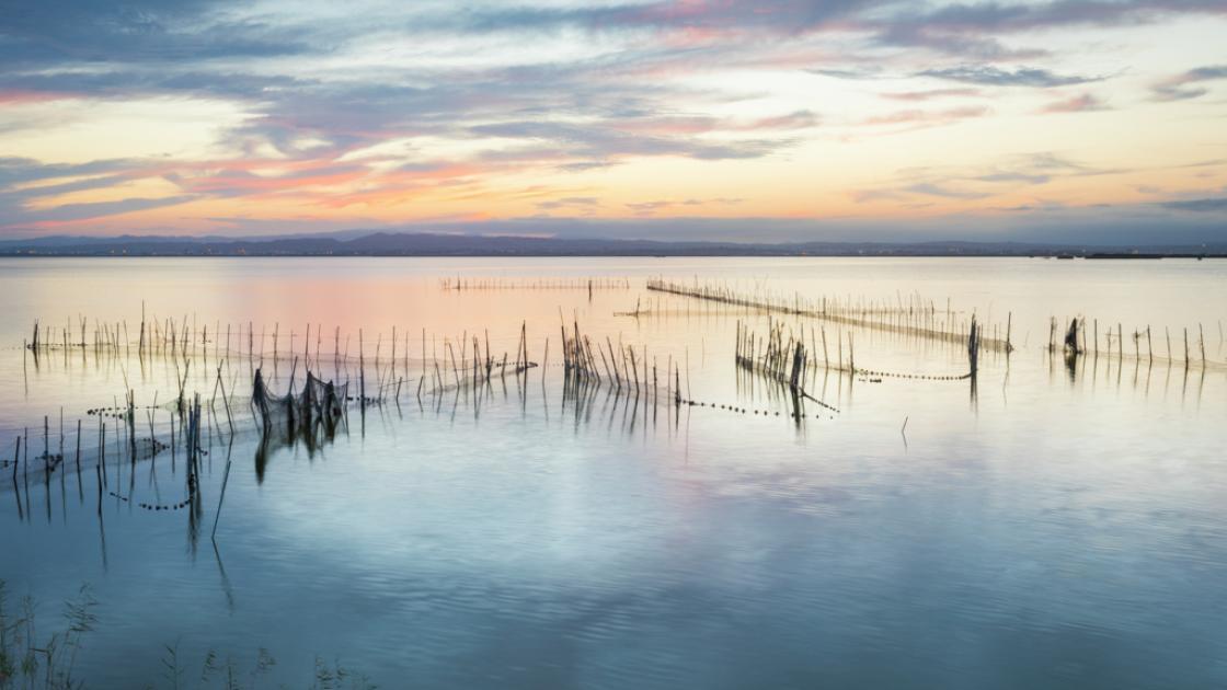 Albufera Valencia