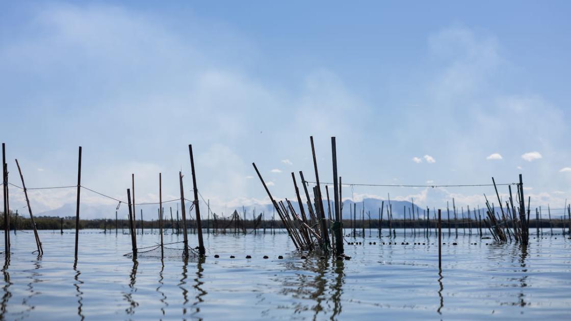Celebra el Día de los Humedales en L’Albufera de València