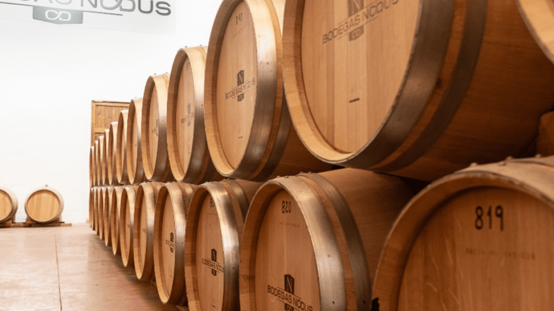 bodega vino