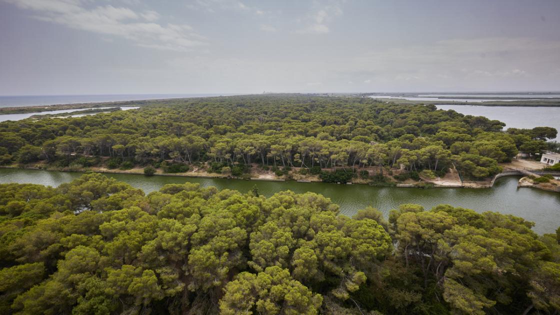 La devesa del Saler