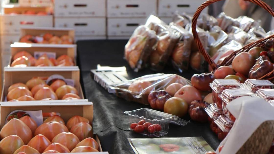 XII edición Feria del Tomate del Perelló en València 