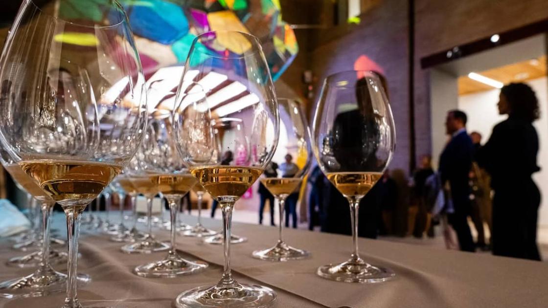 Experiencia enológica «Entrevins i Art» en València